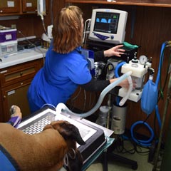 Clinic team member monitoring a patient during a procedure