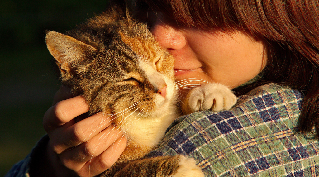 Owner hugging cat