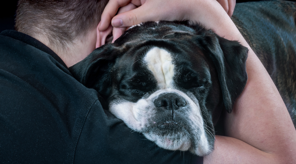 Owner hugging dog