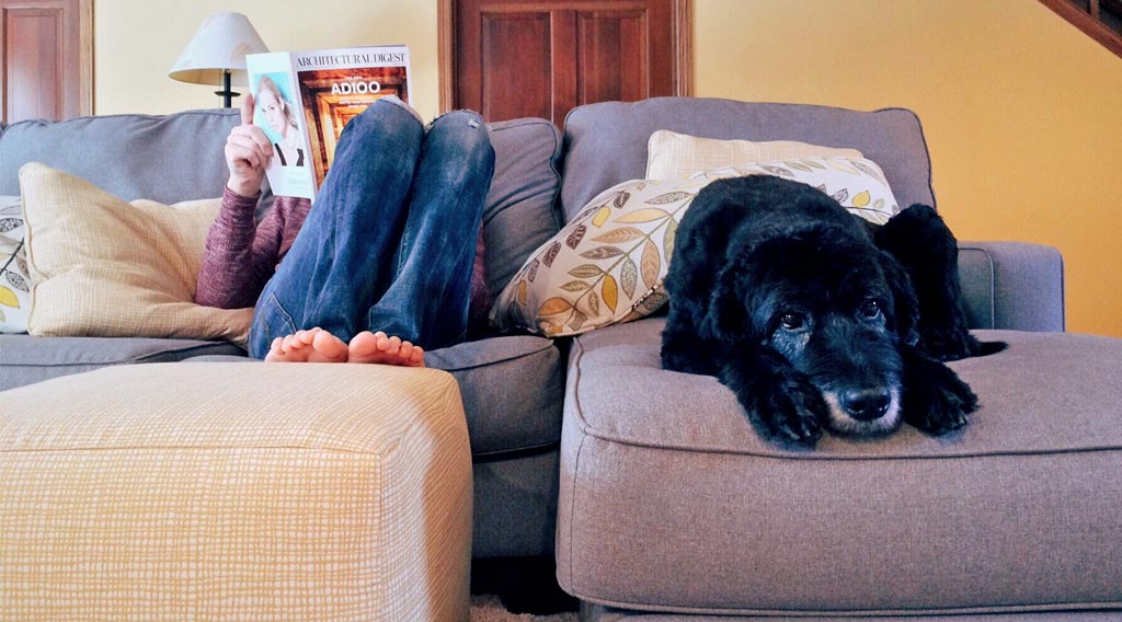 Woman reading magazine with dog