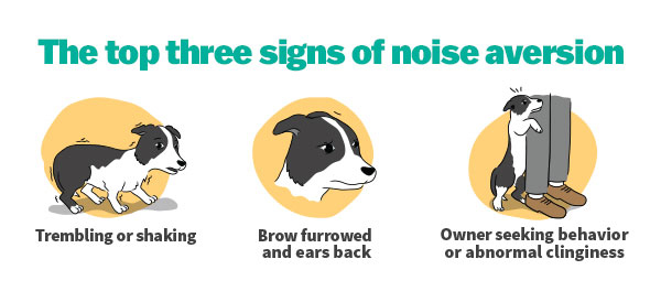 Illustrations Showing Noise Aversion Symptoms