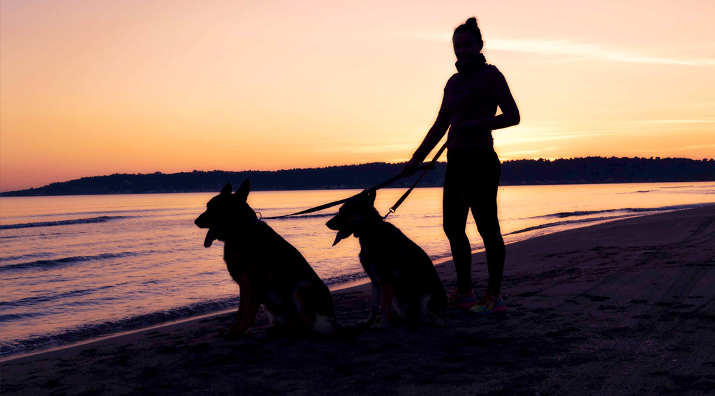 Silhouette of a woman with two dogs by water