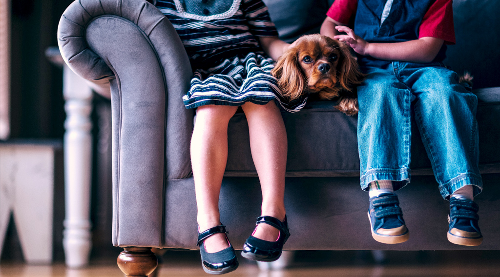 A girl and a boy sitting on a sofa with a dog between them